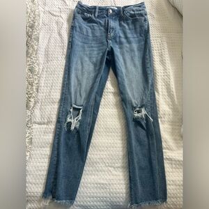 Vervet Straight Leg Ankle Jeans